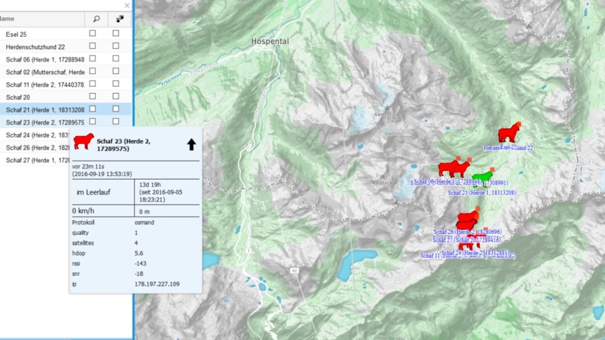 Tracking-GUI zur Visualisierung der Standorte der Schafe.
